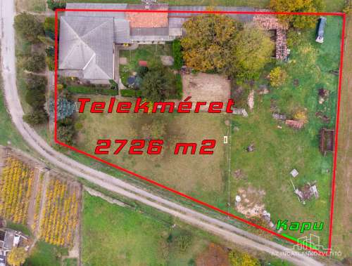 Dunaszentgyörgy, Vörösmarty utca, ház + melléképületek = 2726 m2 telek