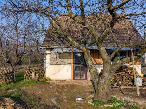Tolna, zártkert, lakható tanya a Homokhegyen 5154 m2 telekkel