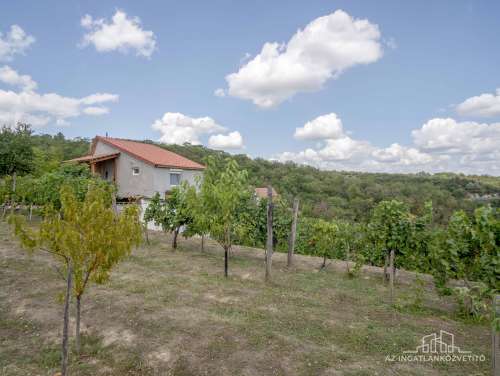 Szekszárd, Saul völgy, lakható tanya panorámás kilátással