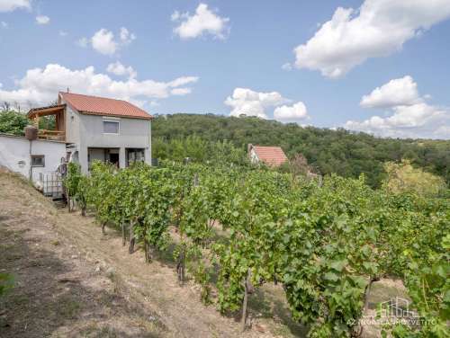 Szekszárd, Saul völgy, lakható tanya panorámás kilátással