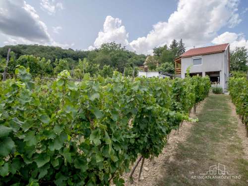 Szekszárd, Saul völgy, lakható tanya panorámás kilátással