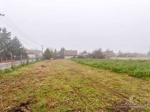 Nagydorog, Jókai utca családi ház 1804 m2-es telken