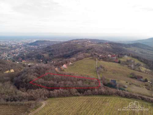 Szekszárd, Kerékhegy, 3283 m2 zártkerti telek, előtte víz és villany