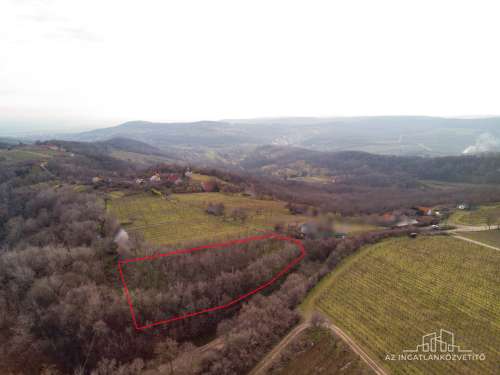 Szekszárd, Kerékhegy, 3283 m2 zártkerti telek, előtte víz és villany