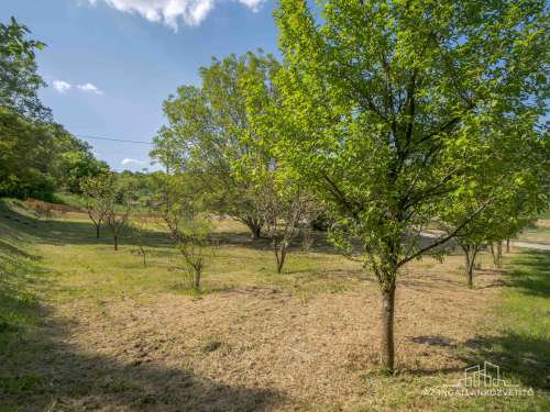 Szekszárd, Faluhely, azonnal birtokba vehető 66 m2-es tanya
