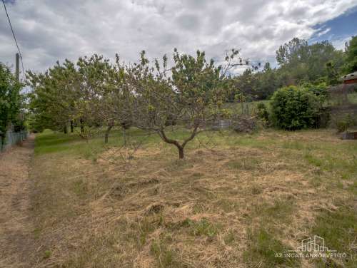 Szekszárd, Strázsa hegy, lakható 68 m2-es zátkerti tanya