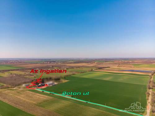 Tolna, 3512 m2 iparterületen 255 m2 földalatti pince, plusz 206 m2 kiszolgálóhelyiségek