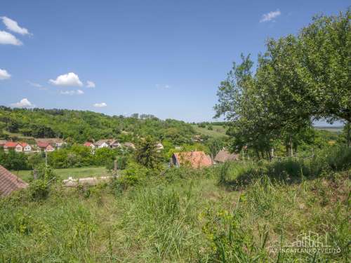Cikó, Hársfa utca 4030 m2 telek közművekkel, épülettel. Lakni csodás, befektetésnek megtérülő