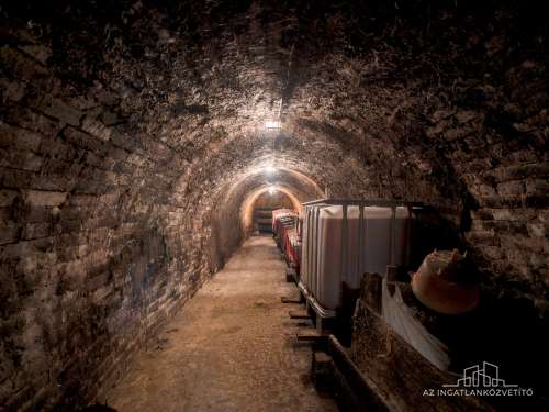 Bátaszék Kövesd (puszta) Présház „izgalmas” 2586 m2 telken