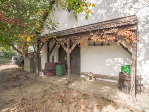 Bátaszék Kövesd (puszta) Présház „izgalmas” 2586 m2 telken