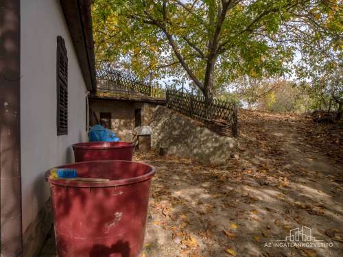 Bátaszék Kövesd (puszta) Présház „izgalmas” 2586 m2 telken