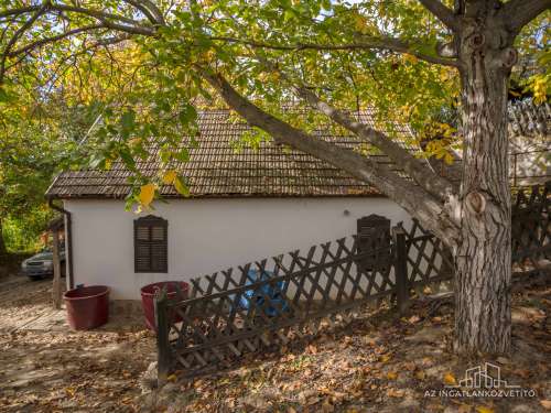 Bátaszék Kövesd (puszta) Présház „izgalmas” 2586 m2 telken