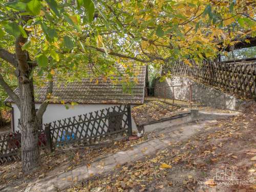 Bátaszék Kövesd (puszta) Présház „izgalmas” 2586 m2 telken