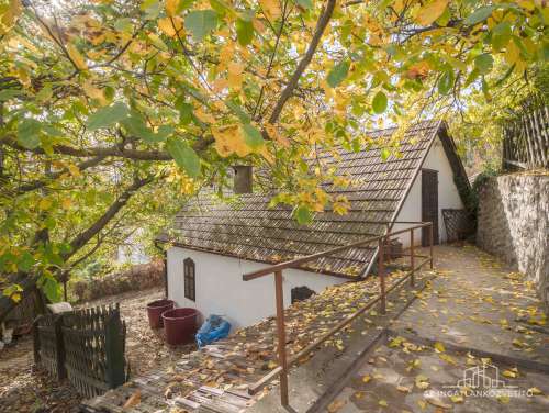 Bátaszék Kövesd (puszta) Présház „izgalmas” 2586 m2 telken