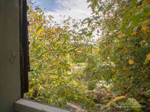 Bátaszék Kövesd (puszta) Présház „izgalmas” 2586 m2 telken