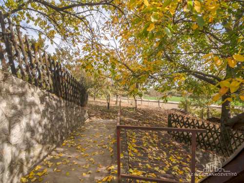 Bátaszék Kövesd (puszta) Présház „izgalmas” 2586 m2 telken