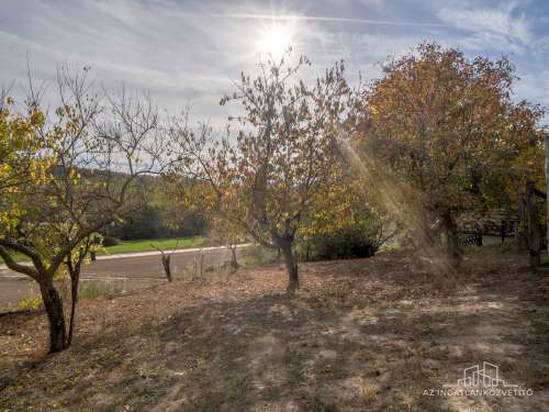 Bátaszék Kövesd (puszta) Présház „izgalmas” 2586 m2 telken