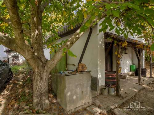 Bátaszék Kövesd (puszta) Présház „izgalmas” 2586 m2 telken