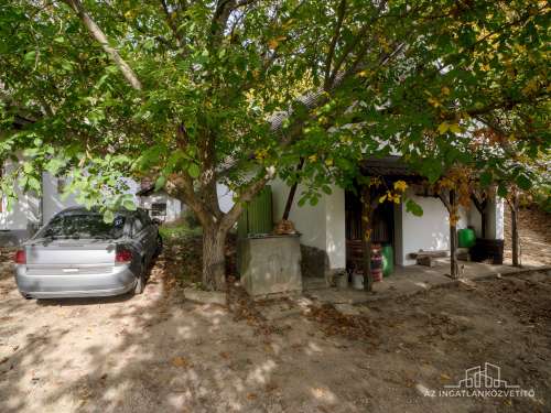 Bátaszék Kövesd (puszta) Présház „izgalmas” 2586 m2 telken