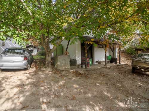 Bátaszék Kövesd (puszta) Présház „izgalmas” 2586 m2 telken