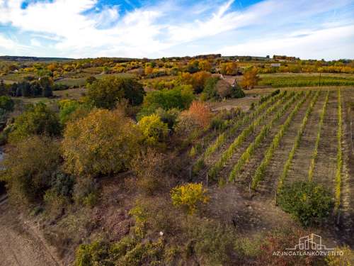 Bátaszék Kövesd (puszta) Présház „izgalmas” 2586 m2 telken