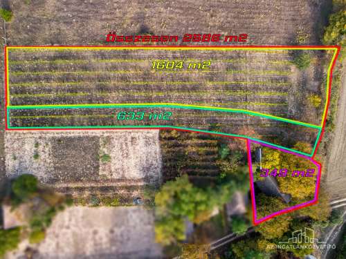 Bátaszék Kövesd (puszta) Présház „izgalmas” 2586 m2 telken