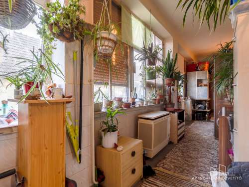 Tolna, Bercsényi utca, 100 m2-es családi ház