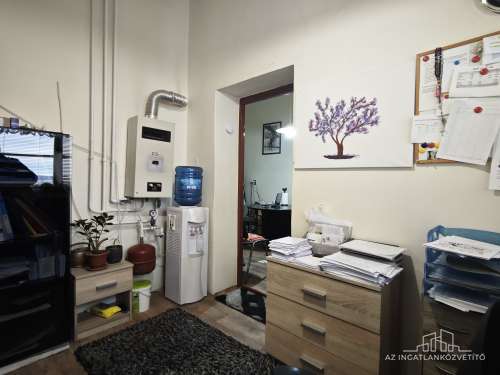 Bátaszék, Budai utca, 414 m2-es üzem 1122 m2-es telken