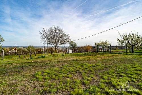 Szekszárd, azonnal birtokba vehető panorámás tanya a Lisztestetőn