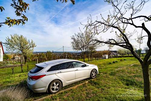 Szekszárd, azonnal birtokba vehető panorámás tanya a Lisztestetőn
