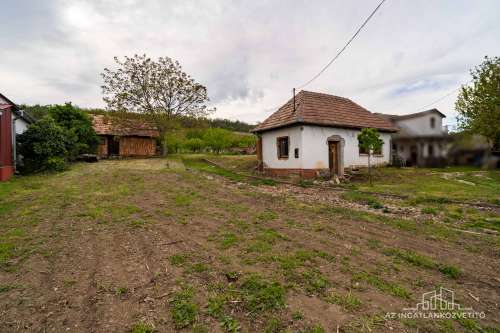 Decsi-szőlőhegy, 2984 m2 zártkert „családi ház”, szőlő és gyümölcsös