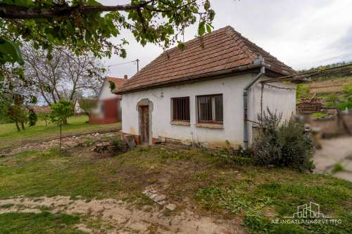 Decsi-szőlőhegy, 2984 m2 zártkert „családi ház”, szőlő és gyümölcsös