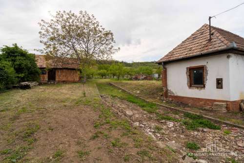 Decsi-szőlőhegy, 2984 m2 zártkert „családi ház”, szőlő és gyümölcsös