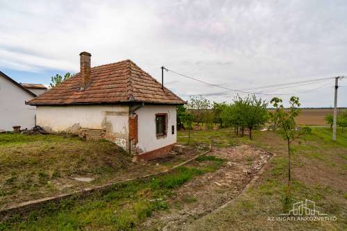 Decsi-szőlőhegy, 2984 m2 zártkert „családi ház”, szőlő és gyümölcsös
