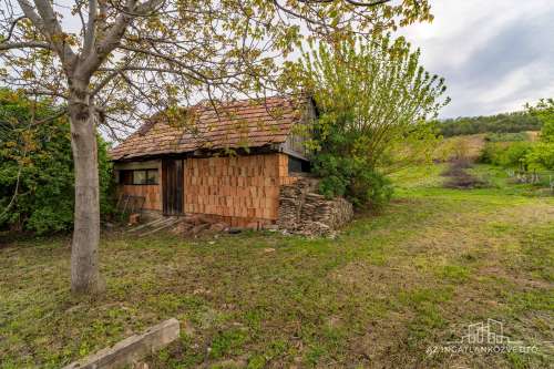 Decsi-szőlőhegy, 2984 m2 zártkert „családi ház”, szőlő és gyümölcsös