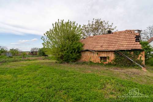Decsi-szőlőhegy, 2984 m2 zártkert „családi ház”, szőlő és gyümölcsös