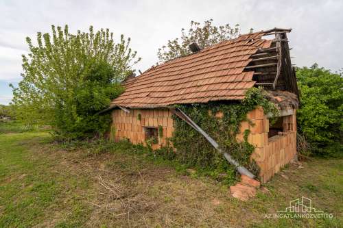 Decsi-szőlőhegy, 2984 m2 zártkert „családi ház”, szőlő és gyümölcsös