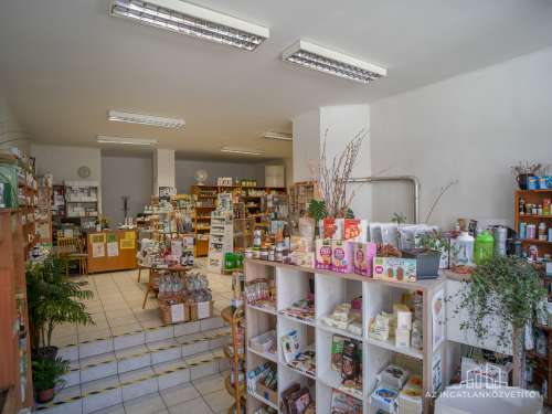 Bátaszék, Budai utca, 75 m2-es üzlet bérlővel