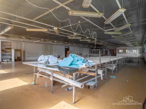 Tolna, Festetich utca, 665 m2 telken raktár és üzem (576 m2)