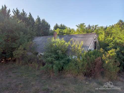 Fadd, György-major 12266 m2 telephely műhellyel, tárolóval kiaknázható lehetőségekkel
